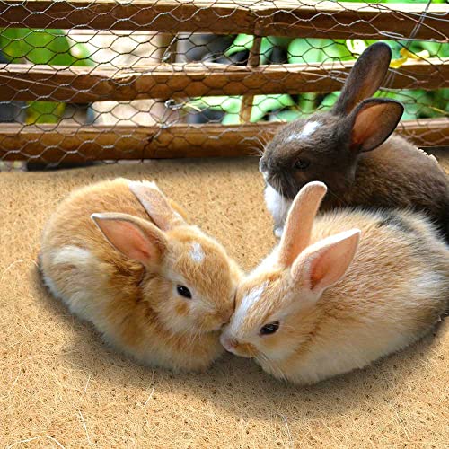 Alfombra de camada de cáñamo para roedores 50 cm x 2 m - para Conejos, Conejillo de Indias...