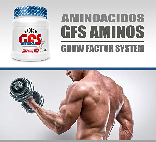 Aminoácidos Esenciales GFS AMINOS Polvo,(Neutro, 300g) - Suplementos Deportivos - Vitobest