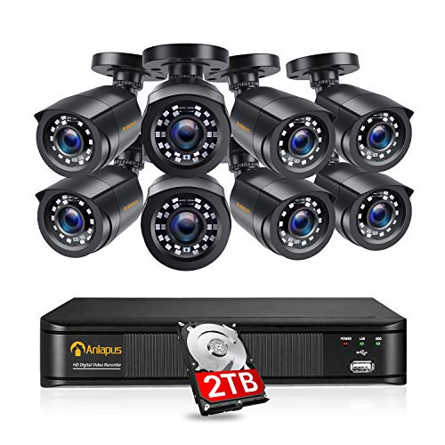 Anlapus 1080P H.265+ Kit Cámaras de Vigilancia Exterior 8CH Videograbador DVR con 8 Cámaras de Seguridad 2TB Disco Duro, Visión Nocturna, Alarma Email, P2P