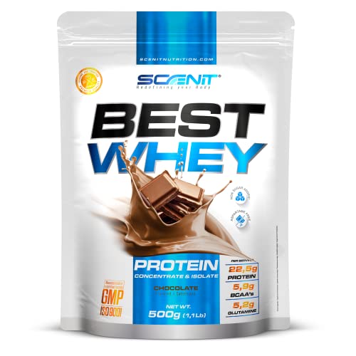 Batidos de Proteinas - Best Whey Protein - Batido proteinas - Batidos proteinas - Proteína whey - Proteina whey - Proteina iso - Proteina isolada - Proteinas para masa muscular (500 g) (Chocolate)