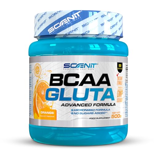BCAA Glutamina - BCAA GLUTA - BCAA Glutamine - 500 g - Aminoacidos ramificados con glutamina - Aminoacidos bcaa y glutamina - BCAAs aminoacidos - Aminoacidos ramificados en polvo (Naranja)