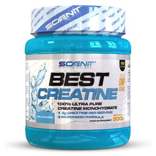Best Creatine - Creatina monohidrato micronizada en polvo sin sabor – 500g - Contribuye al aumento de la masa muscular (500 g)