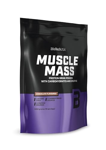 BioTechUSA Muscle Mass, Bebida en polvo de carbohidratos y proteínas, con péptidos de creatina y glutamina añadidos, 1 kg, Fresa