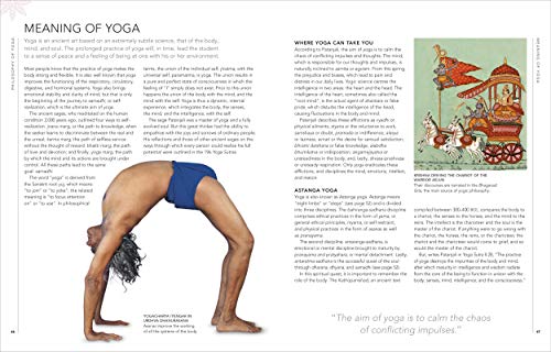 B.K.S. Iyengar Yoga The Path to Holistic Health: The Definitive Step-by-step Guide