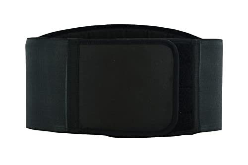 BLACKWILD - Cinturón de riñón para motocicleta, para hombre y mujer, color negro básico, estabilización eficaz y cálido, soporte lumbar, Negro , L