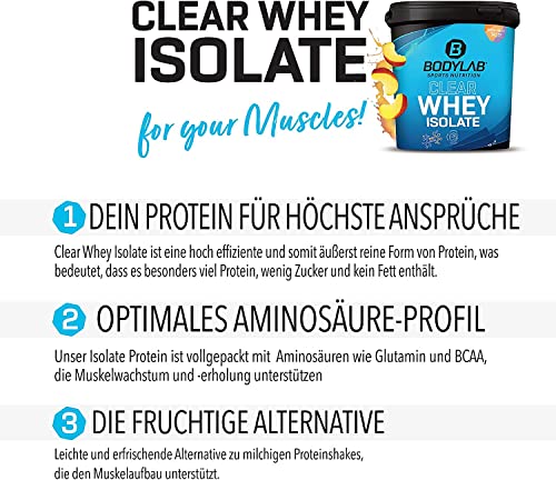 Bodylab24 Clear Whey Isolate 720g Té helado Frutas del Bosque, batido de proteínas a base de 96% de aislado de proteína de suero, refrescante bebida afrutada, puede apoyar el desarrollo muscular