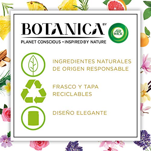 Botanica by Air Wick - Vela Aromática Perfumada (Ambientador Esencia Para Casa Con Aroma A Vainilla Y Magnolia Del Himalaya) - Pack De 6, Naturaleza, 205 g (Paquete de 6)