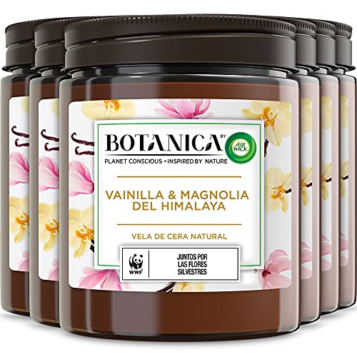 Botanica by Air Wick - Vela Aromática Perfumada (Ambientador Esencia Para Casa Con Aroma A Vainilla Y Magnolia Del Himalaya) - Pack De 6, Naturaleza, 205 g (Paquete de 6)