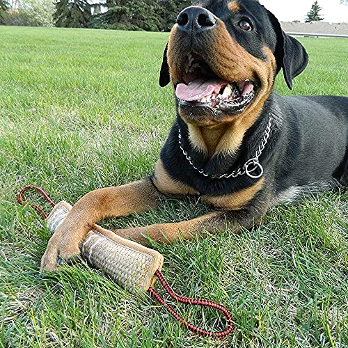 BOW CALICO mordedor Perro, 30 cm, K9 Dummy y motivador canino Resistente y Duradero - Juguetes para Perros de Entrenamiento