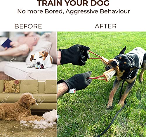BOW CALICO mordedor Perro, 30 cm, K9 Dummy y motivador canino Resistente y Duradero - Juguetes para Perros de Entrenamiento