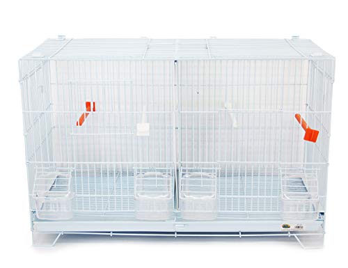 BPS Jaula de Incubación Jaula de Cría para Pájaros con Comedero Bebedero Saltador Cubeta Tamaño M/L (L: 60 x 26 x 40 cm) BPS-1305