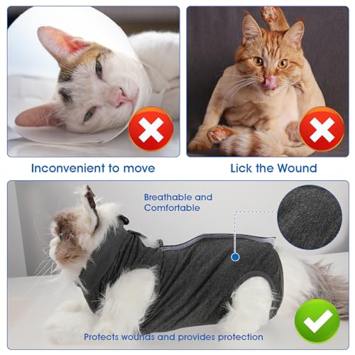 cobee Traje de recuperación Profesional para Gatos para heridas Abdominales o Enfermedades de la Piel Traje de recuperación de cirugía de Gatitos Collar Alternativa para Gatos(Talla M, Gris)