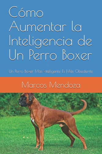 Cómo Aumentar la Inteligencia de Un Perro Boxer: Un Perro Boxer Más Inteligente Es Más Obediente