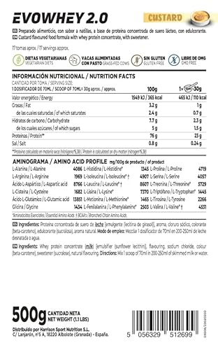 Concentrado de Proteína de Suero de HSN Evowhey Protein 2.0 | Sabor Natillas 500 g = 17 Tomas por Envase | Whey Protein Concentrate | No-GMO, Vegetariano, Sin Gluten ni Soja