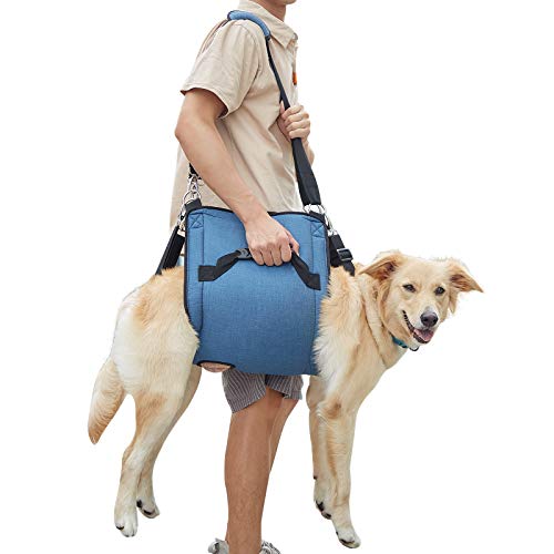 Coodeo Eslinga de Transporte para Perros, Mochila de Emergencia, Soporte para Las Piernas de Las Mascotas Y Arnés de Elevación para Perros de Rehabilitación para Cortar Las Uñas (XL, Azul)
