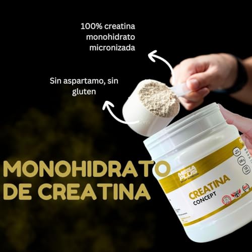 Creatina Concept Mega Plus Sport Nutrition - Creatina - Creatina monohidratada - 100% Creatina monohidrato micronizada - Sin aspartamo, sin gluten - Monohidrato de creatina 500g