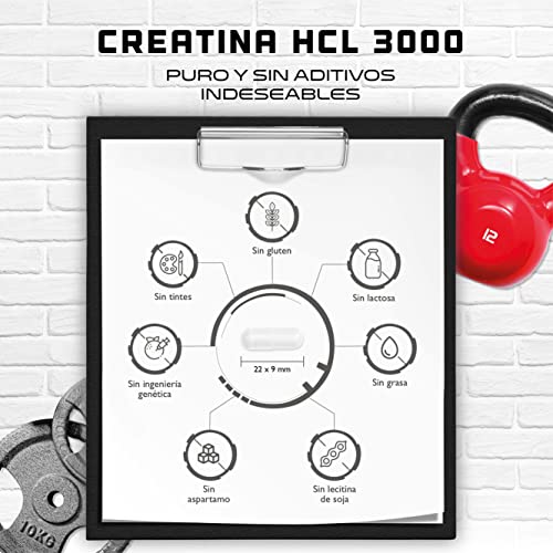 Creatina HCL - 320 cápsulas - Altamente dosificado con 3000 mg - Clorhidrato de creatina puro de alta absorción - Alta biodisponibilidad