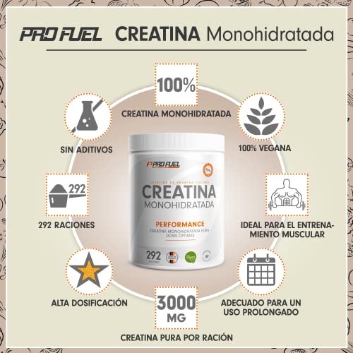 Creatina pura monohidratada en polvo 1kg / 1000g - calidad micronizada - óptimamente dosificada - sin aditivos - 100% vegana - para 292 dias