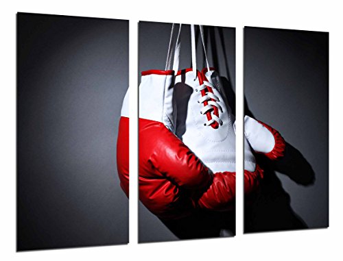 Cuadro Fotográfico Deporte Boxeo, Guante Blanco y Rojo, Motivacion Tamaño total: 97 x 62 cm XXL
