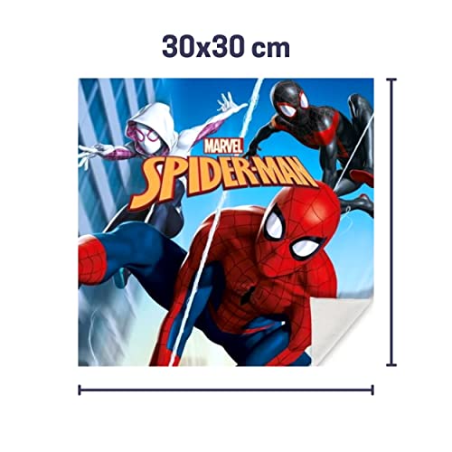 damaloo 2X Toallitas Bebe Spiderman Reutilizables - Toalla Infantil Colegio -Toalla pequeña niño - Toalla Cara Infantil de algodón - Toalla comprimida - Toalla mágica 30x30