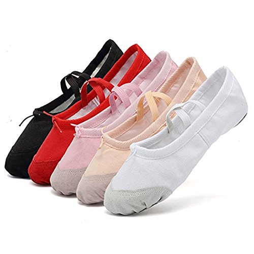DoGeek Transpirable Zapatos de Ballet Zapatillas de Ballet de Danza Baile para Niña (32 EU, Rosa 2)