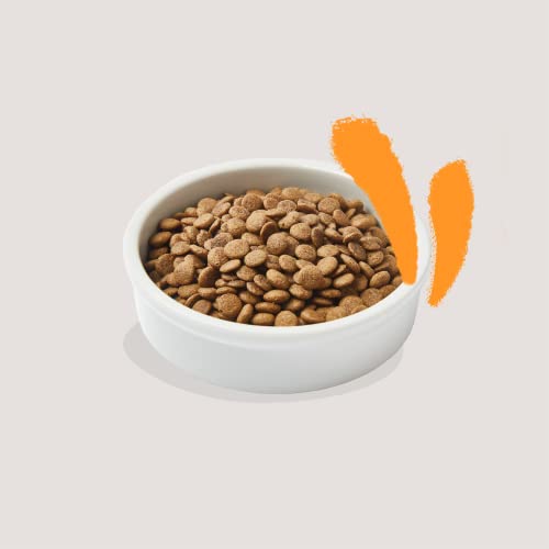 Edgard & Cooper Pienso Gatos Esterilizados o Activos Comida Gatos Adultos Natural Sin Cereales 2kg Pollo, Fácil de digerir, Alimentación Sana Sabrosa y Equilibada