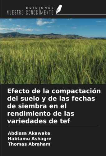 Efecto de la compactación del suelo y de las fechas de siembra en el rendimiento de las variedades de tef