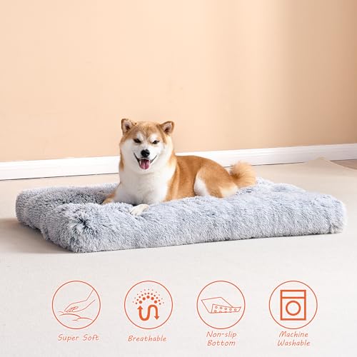 EHEYCIGA Cama Perro Grande Lavable, 90x60x10cm Dog Bed Medianos, Cama para Mascotas, Acolchado Suave Cama Colchon Perros, Gris