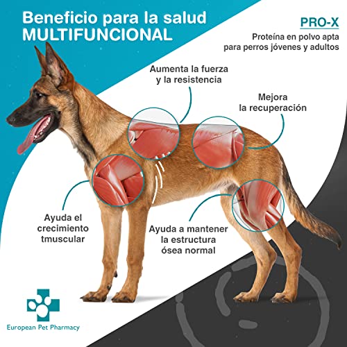 European Pet Pharmacy Pro-X Polvo de Proteínas para Perros con Insectos Secos - Comida Hipoalergénica para Perros Rica en Aminoácidos - Suplemento para Perros 1+ Años - Energía y Masa Muscular, 300g