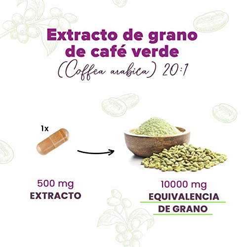 Extracto de Café Verde de HSN | 20000 mg Green Coffee Bean + 500 mg Ácido Clorogénico + 20mg Cafeína por Dosis Diaria | 20x Veces Más Concentrado | No-GMO, Vegano, Sin Gluten | 120 Veg Caps