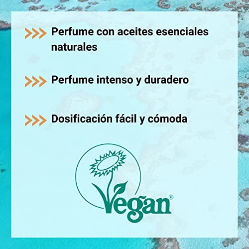 Flopp - Perfume para la Ropa con Aceites Esenciales Naturales en Cápsulas | Fórmula Vegana | Flopp Eco: Limpia sin Ensuciar el Planeta… (1 caja (16 cápsulas))