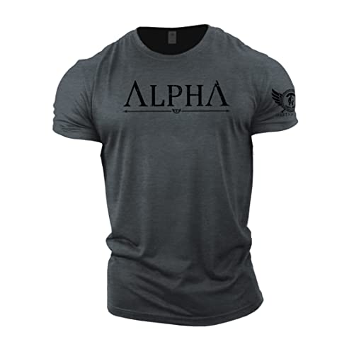 GYMTIER Alpha - Camiseta de gimnasio Spartan Gym para hombre, para culturismo y levantamiento de pesas, gris, L