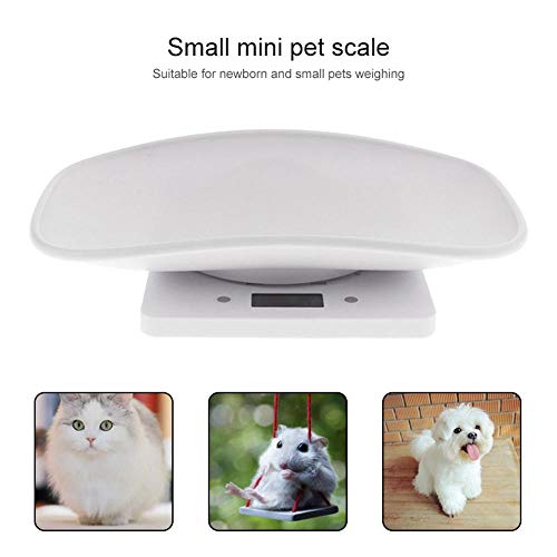 Hankaw Báscula Digital para Mascotas para Perros Pequeños, Gatos y Animal Pequeño de hasta 10 kg, luz de Fondo Azul
