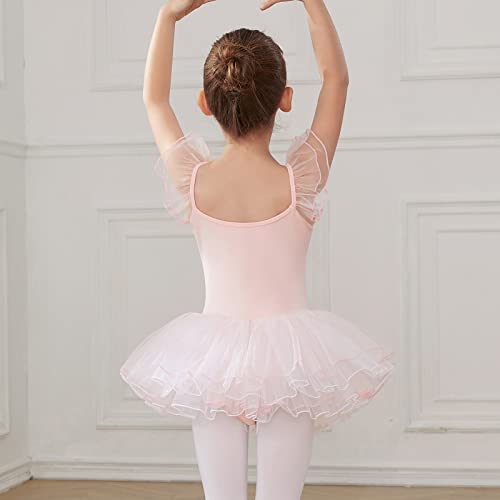HIPPOSEUS Niña Maillot de Danza Tutú Vestido de Ballet Gimnasia Leotardo Body Clásico para Niñas Body Traje de Baile,Y04-Rosa Claro,11-12 Años