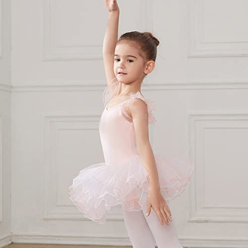 HIPPOSEUS Niña Maillot de Danza Tutú Vestido de Ballet Gimnasia Leotardo Body Clásico para Niñas Body Traje de Baile,Y04-Rosa Claro,11-12 Años