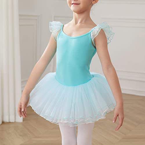 HIPPOSEUS Niña Maillot de Danza Tutú Vestido de Ballet Gimnasia Leotardo Body Clásico para Niñas Body Traje de Baile,Y04-Verde,10-11 Años