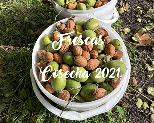 Hogar y Mas - Nueces de España Naturales con cascara Frescas, Cosecha del 2023 "Limitada, Bolsa de 3 kg.