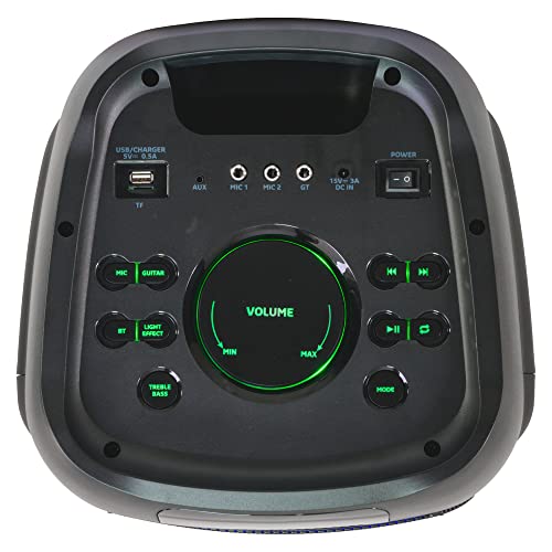 Ibiza - WAVE8 - Sistema de Altavoces de 600W/2x8 con Bluetooth, USB y microSD - Efecto LED Wave y conexión inalámbrica TWS - Negro