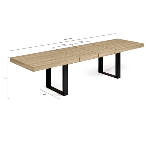 IDMarket - Mesa de comedor extensible Phoenix 10-12 personas madera y negro 200-300 cm