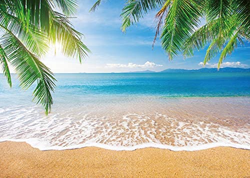 INRUI Fondo de fotografía de Playa Tropical Verano Palmeras Fondo Azul Mar Cielo Sol Luau Telón de Fondo temático (2,4x1,8 m)