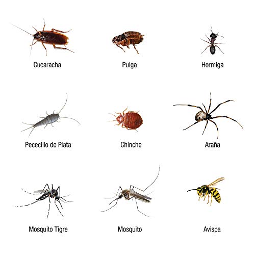 Insecticida Barrera de protección total, control de insectos voladores y rastreros, ideal para exteriores, interiores y textiles, Aerosol