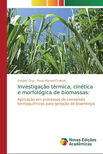 Investigação térmica, cinética e morfológica de biomassas:: Aplicação em processos de conversão termoquímicos para geração de bioenergia