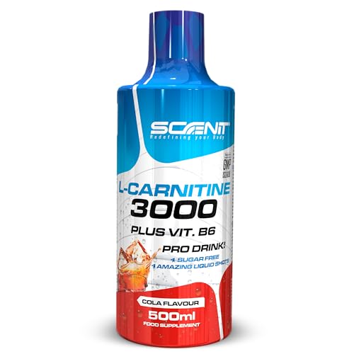 L Carnitina 3000 - L Carnitina Liquida 500 ml - Carnitina Liquida 3000 - Carnitina Liquida - L-Carnitina 3000 - L Carnitina Viales - L Carnitina - l - carnitina (1 bote de 500 ml) (Cola)