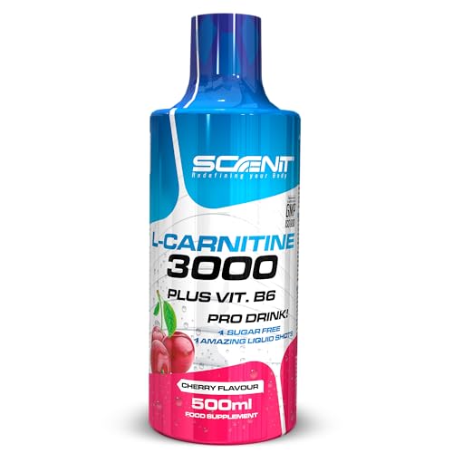 L Carnitina 3000 - L Carnitina Liquida 500 ml - Carnitina Liquida 3000 - Carnitina Liquida - L-Carnitina 3000 - L Carnitina Viales - L Carnitina - l - carnitina (1 bote de 500 ml) (Cereza)