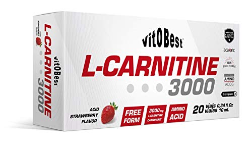 L-CARNITINE 3000-20 Viales 10 ml COLA - Suplementos Alimentación y Suplementos Deportivos - Vitobest