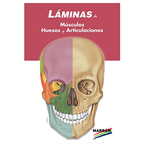LAMINAS ESPIRAL: MUSCULOS HUESOS Y ARTICULACIONES