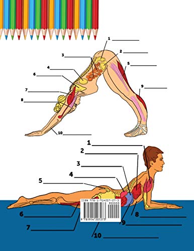 Libro Para Colorear de la Anatomía del Yoga Para Principiantes: 50+ Ejercicios de Colores con Posturas de Yoga Para Principiantes | El Regalo Perfecto Para Instructores de Yoga, Maestros y Aficionados