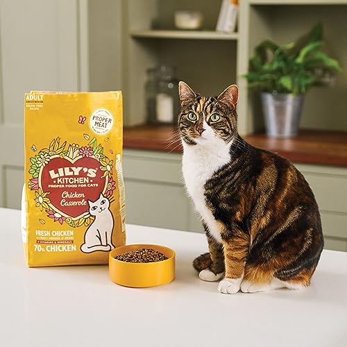 Lily's Kitchen Pienso natural para gatos adultos: receta Cazuela de pollo, sin cereales (2 kg bolsa)