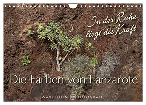 Los colores de Lanzarote – En la tranquilidad se encuentra la fuerza (calendario de pared 2024 DIN A4 horizontal), Calvendo calendario mensual