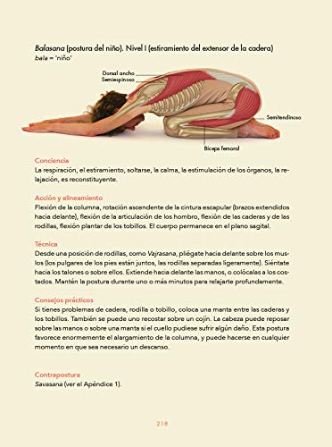 Manual conciso de anatomía del Yoga (ALIMENTACION Y SALUD)
